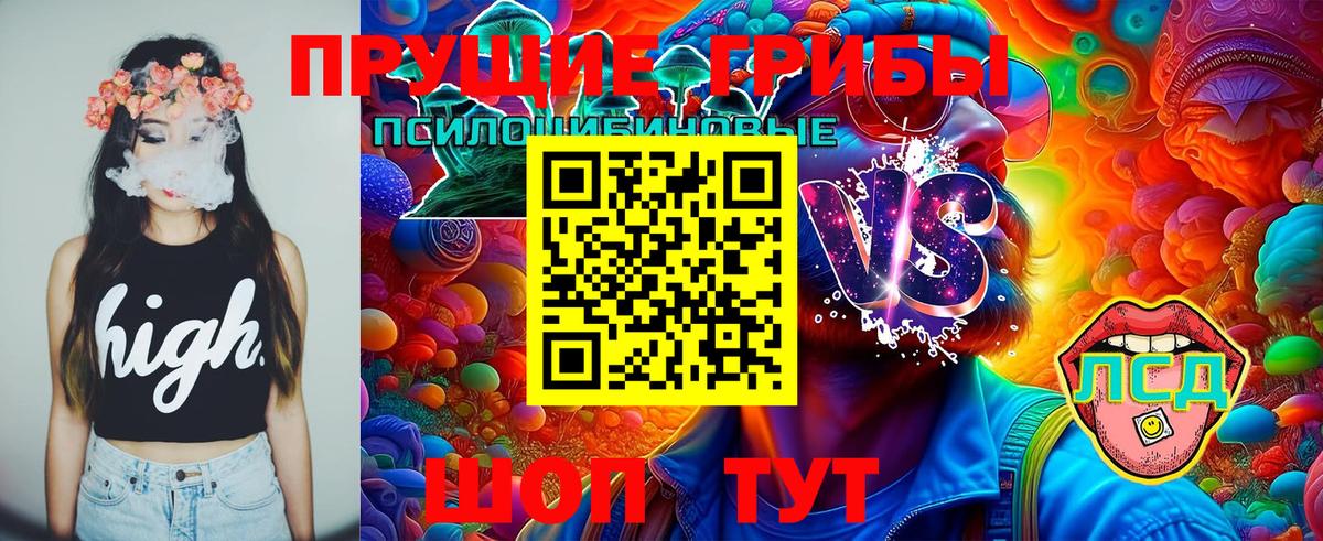 Первоуральск  Псилоцибиновые грибы Psilocybe  Вход с VPN 