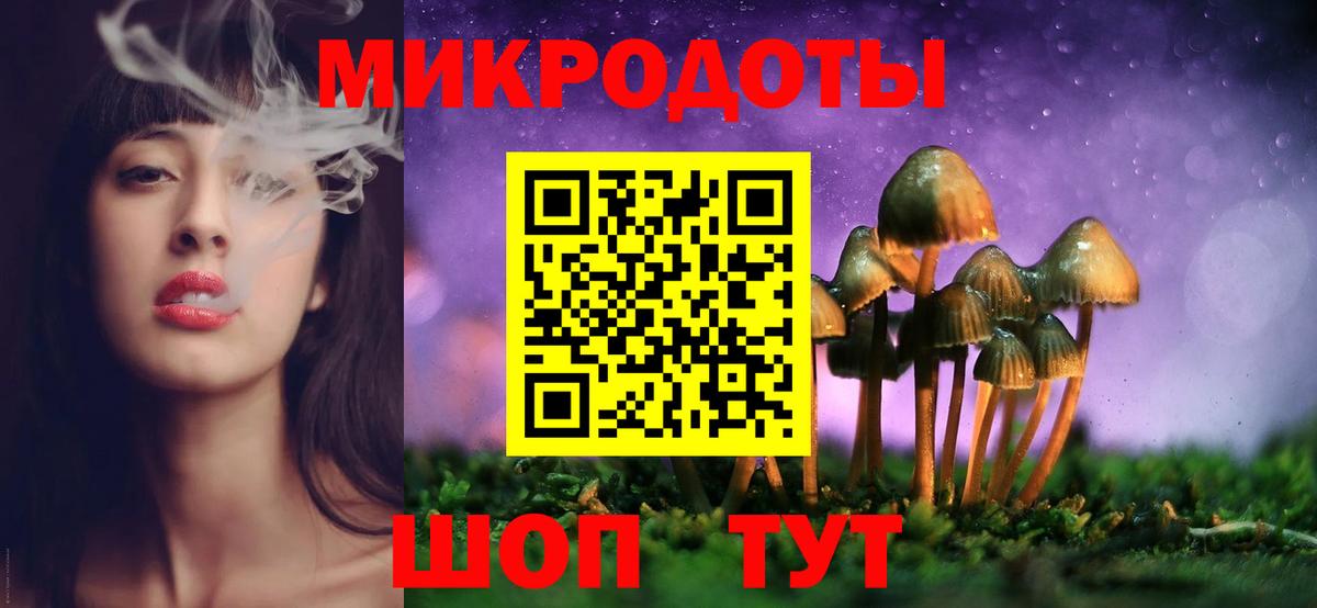 Галлюциногенные грибы Psilocybe Первоуральск